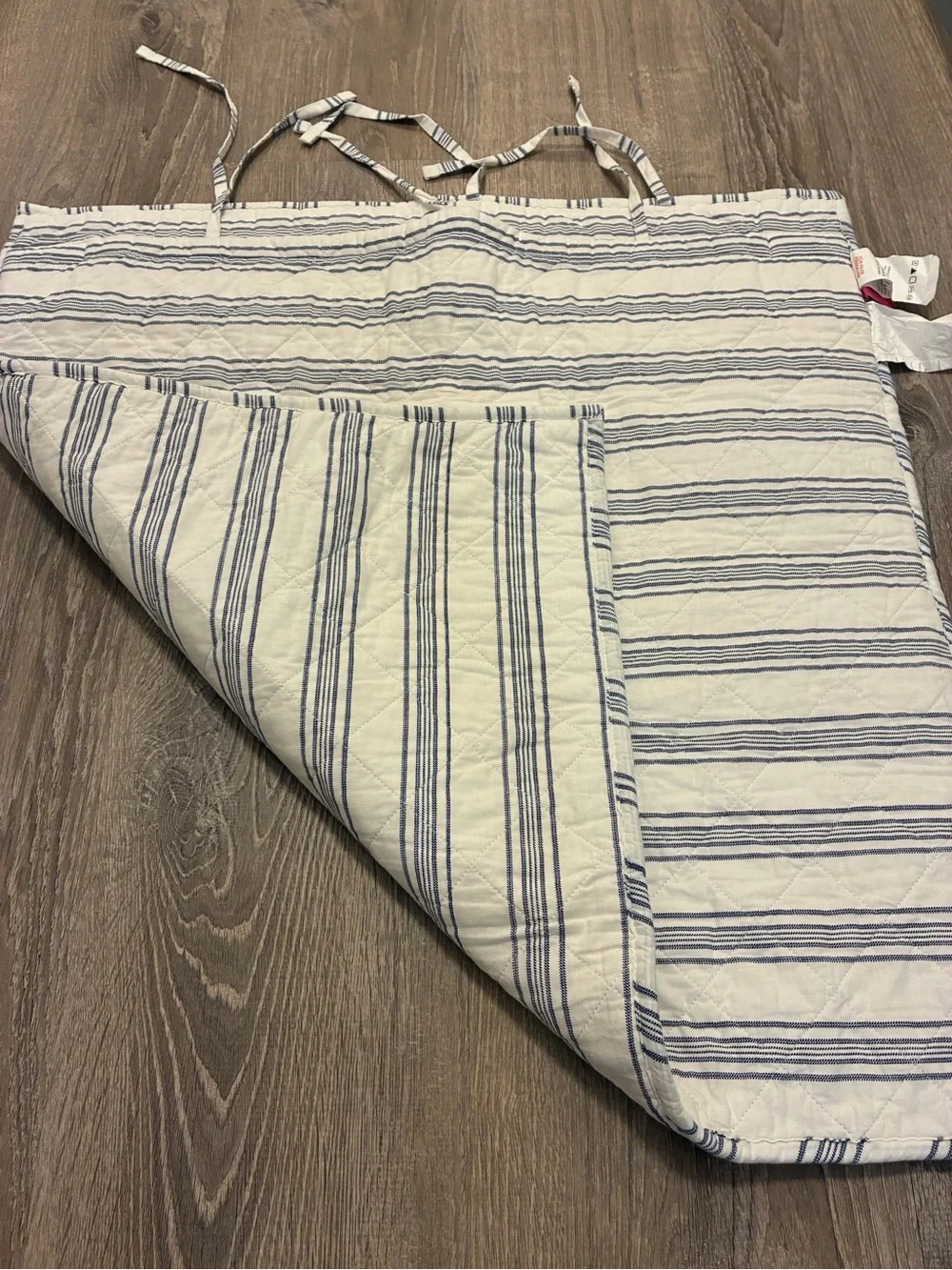 Isaac Mizrahi blue and white striped Euro Shams